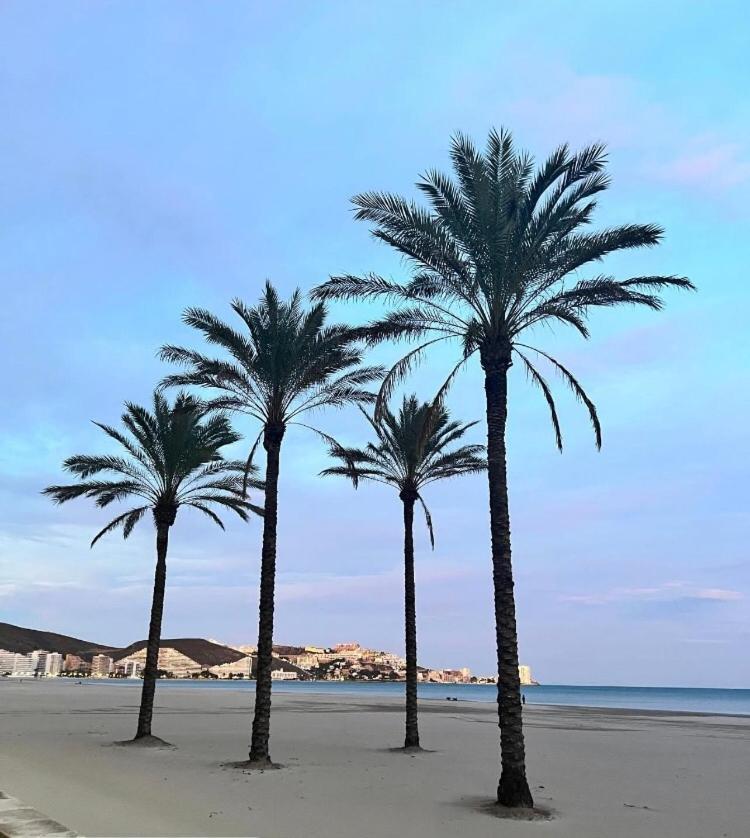 A 50 M De La Cullera